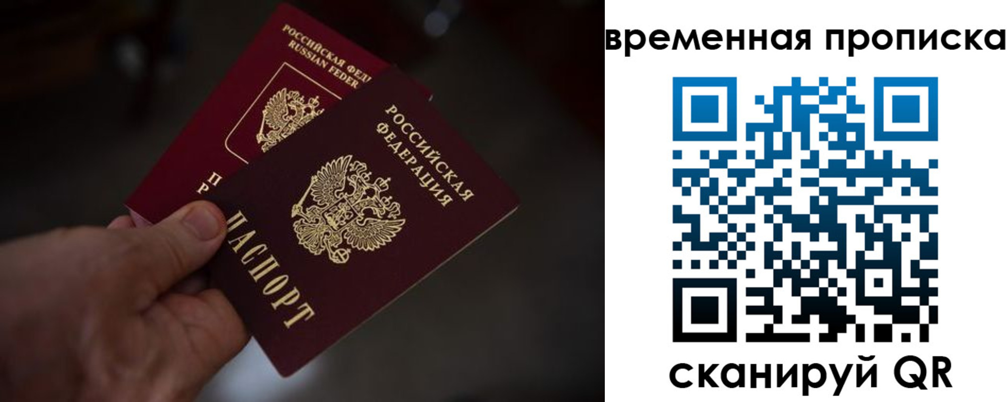 прописка в Вязьме